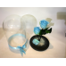 Beauty And The Beast Double Baby Blue Roses Campana
